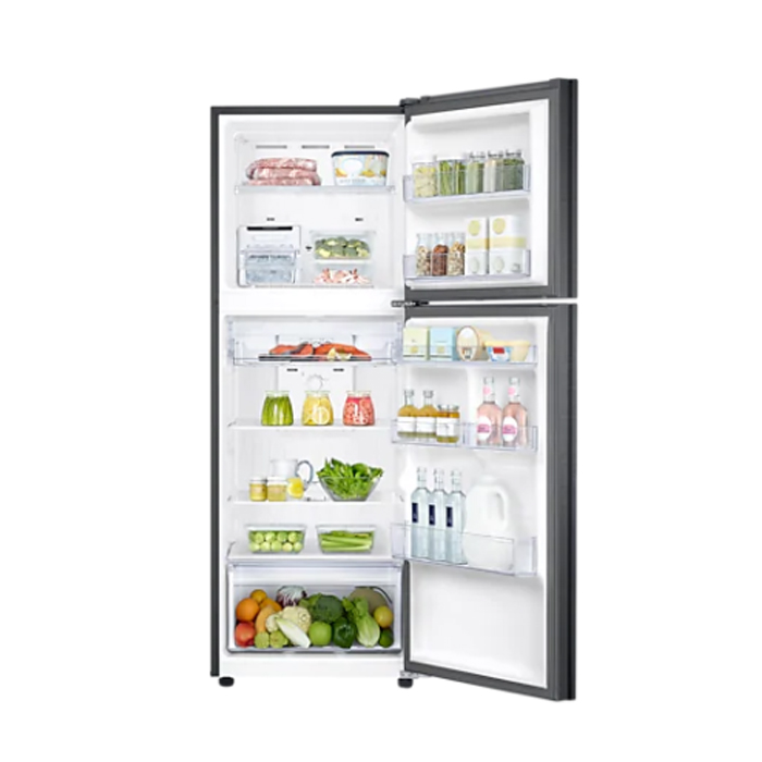 Samsung Kulkas Two Doors 255 Liter - RT25FARBDB1 